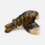 Picture of Frozen Lobster Tails Large