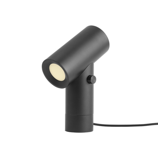 Picture of Zoom Lamp