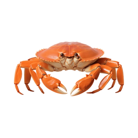 Picture of Alaskan Crab