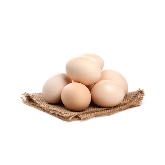 Picture of Egg