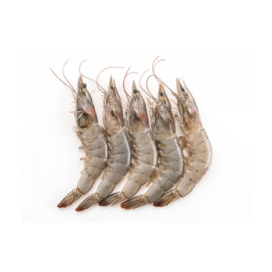 Picture of Shrimp