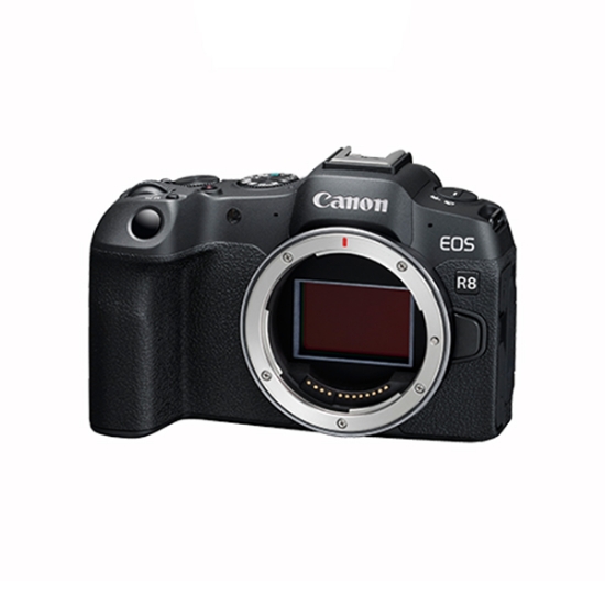 Picture of Canon EOS R8