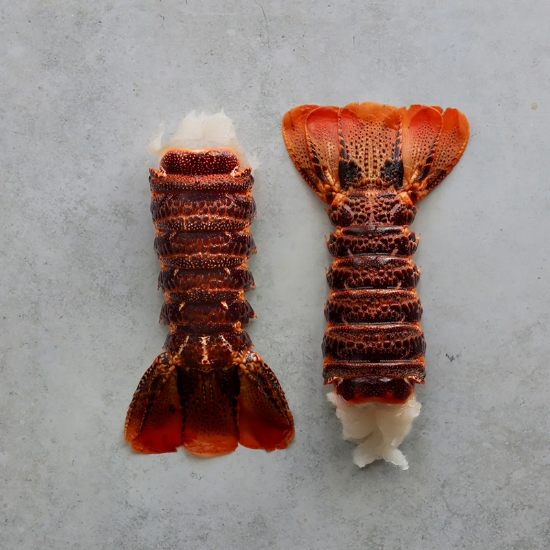 Picture of Frozen Lobster Tails Large