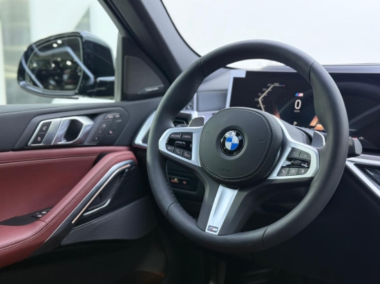 Picture of BMW X6