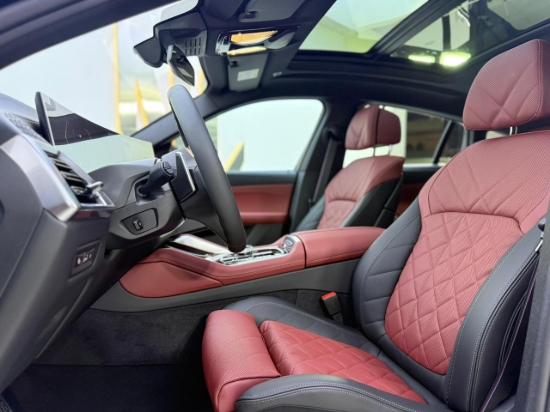 Picture of BMW X6