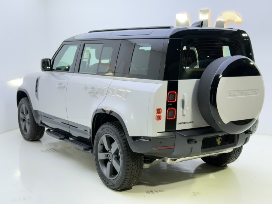 Picture of DEFENDER SE P300 X-Dynamic