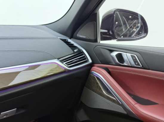 Picture of BMW X6